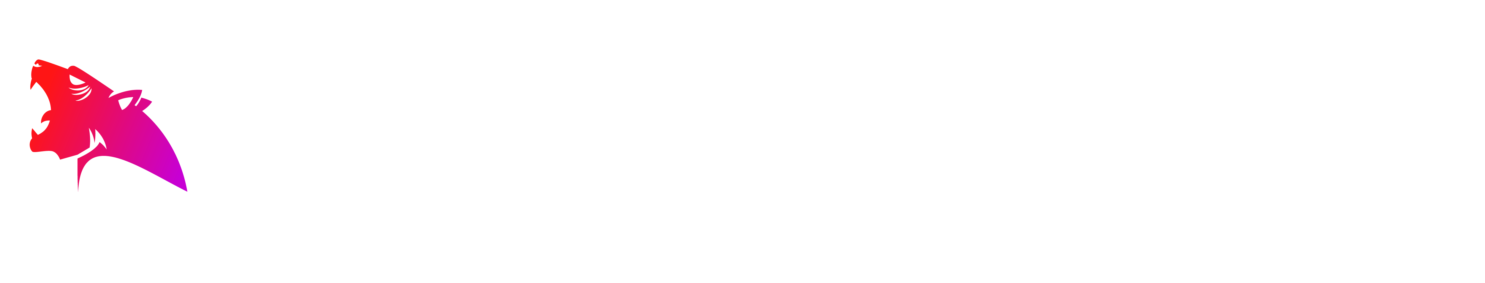 EliteBoosting.net - Logo